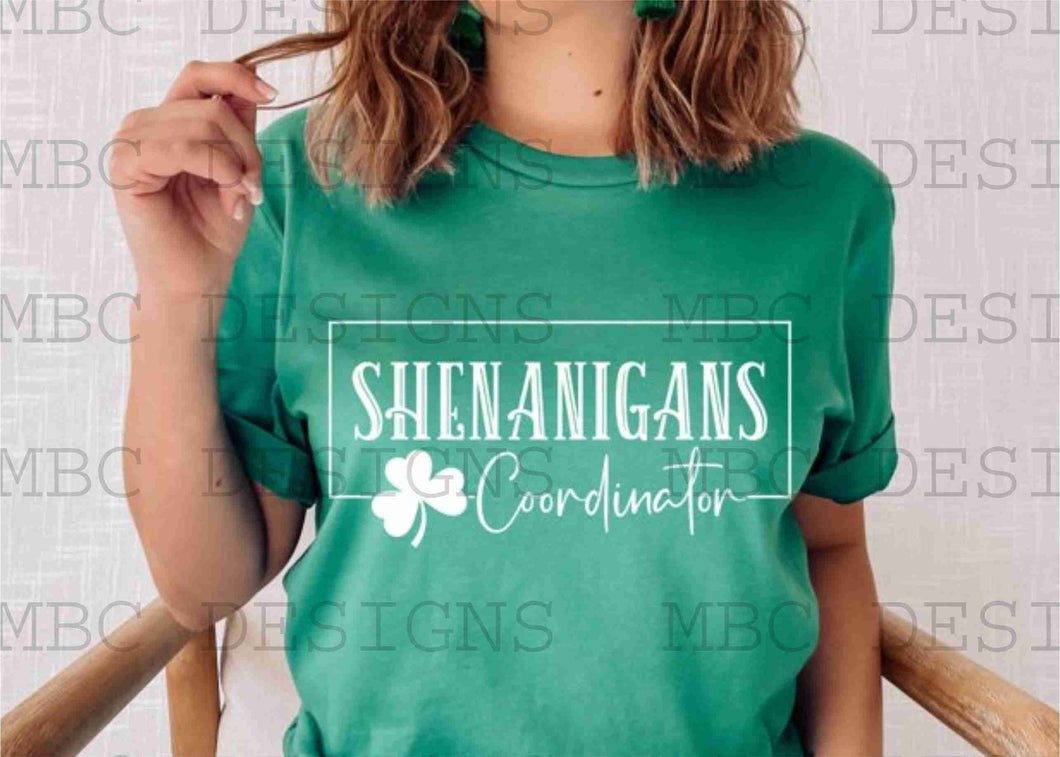 Shenanigans Coordinator-Infant Sizing